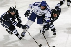 TheShy官方宣布大比分获胜新规，拜仁引发争议！全场沸腾不已-乐动官方网址